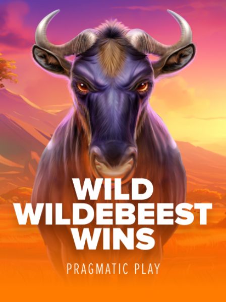 Unlocking Opportunities: The Power of LotteryBet Hub in Winning